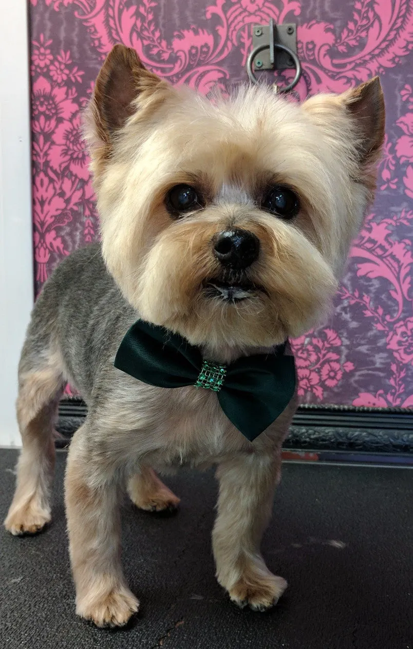 Bling Bow Ties