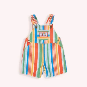 Burton Land Down Under Stripe Denim Overalls