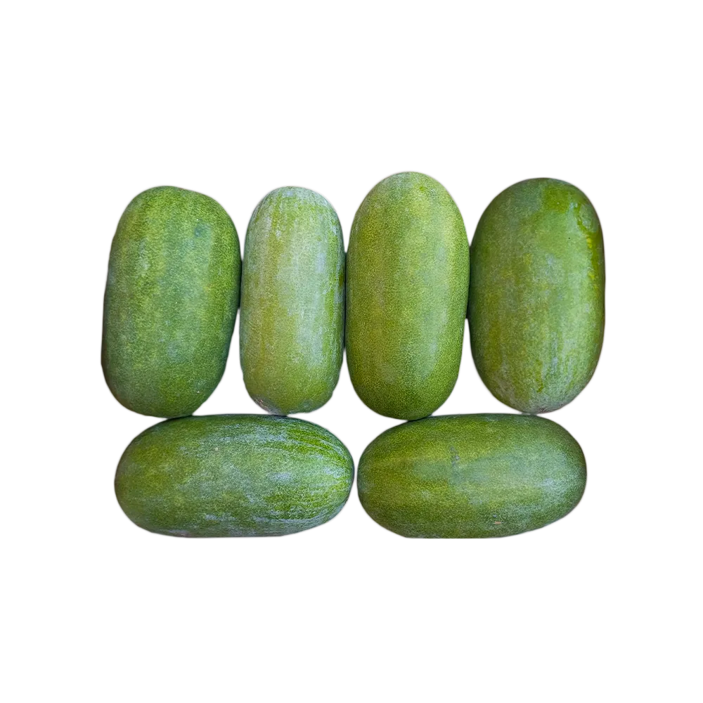 Ha Noi Winter Melon