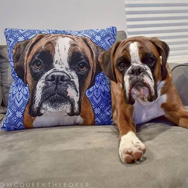 Original Pet Pop Art Pillow