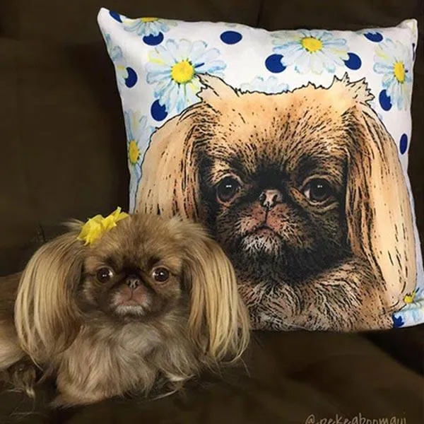 Original Pet Pop Art Pillow