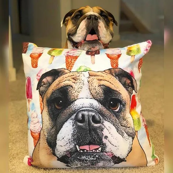 Original Pet Pop Art Pillow