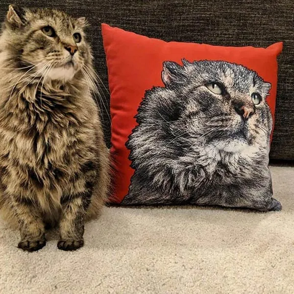 Original Pet Pop Art Pillow