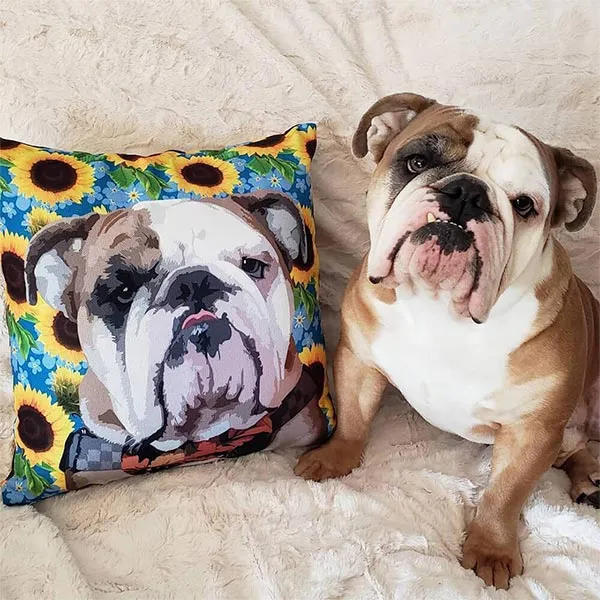 Original Pet Pop Art Pillow