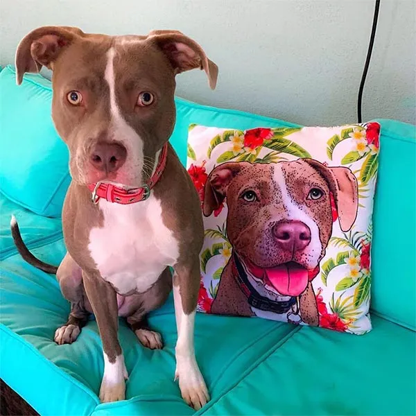 Original Pet Pop Art Pillow