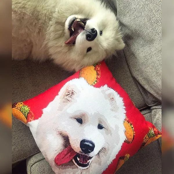 Original Pet Pop Art Pillow
