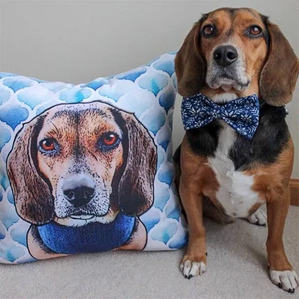 Original Pet Pop Art Pillow