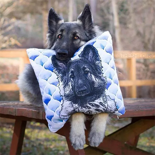 Original Pet Pop Art Pillow