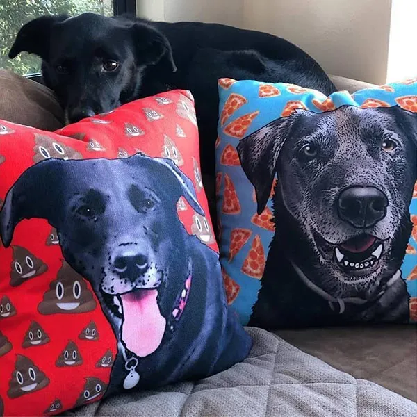 Original Pet Pop Art Pillow