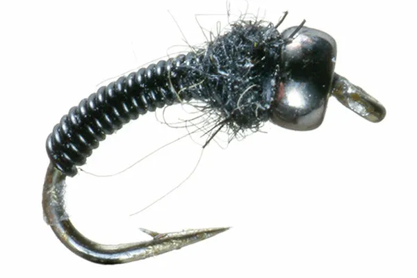 Poison Tung - Umpqua